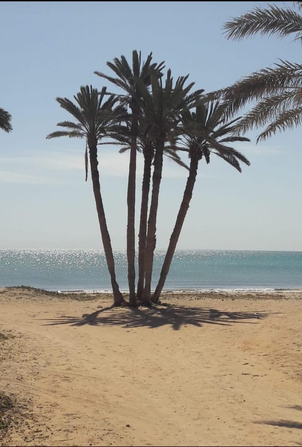 Djerba Beach Haven House in Tunisia