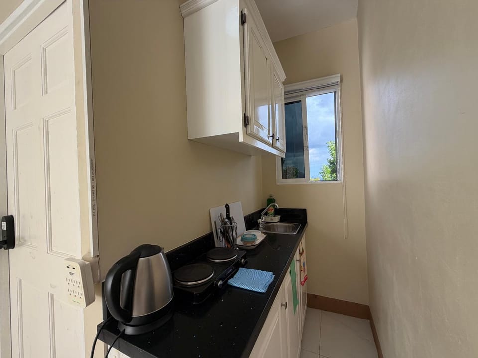 1 BR Love Cube Apartment in Kingston