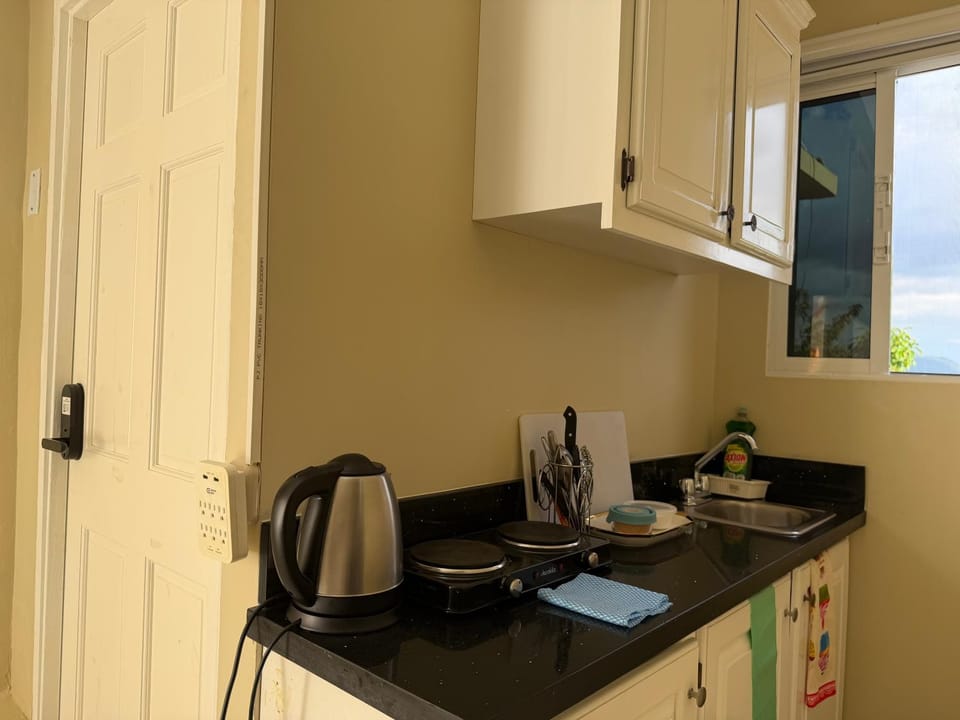 1 BR Love Cube Apartment in Kingston