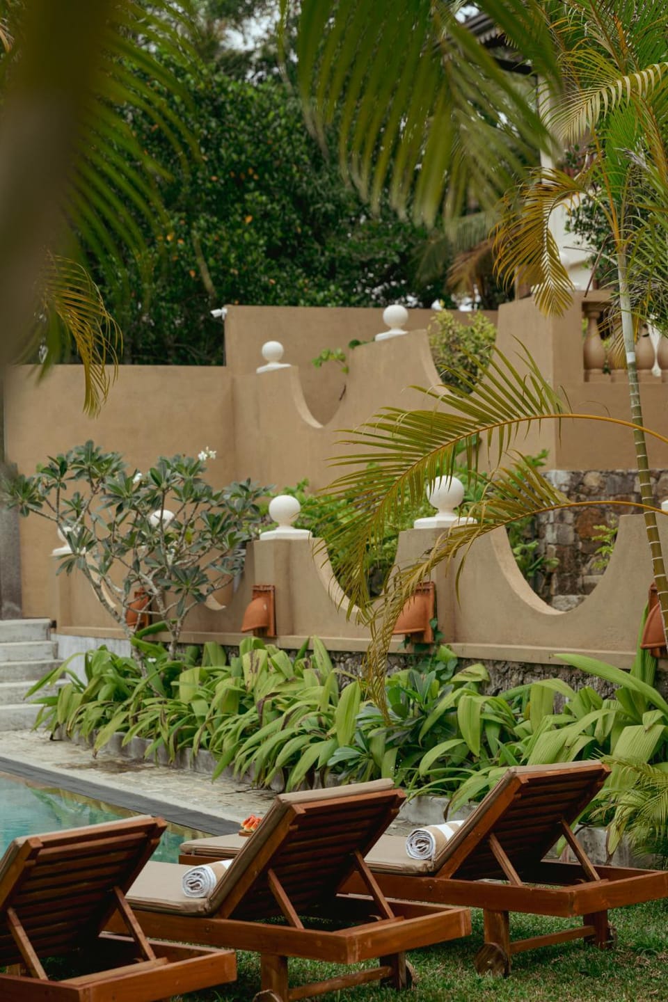 Garden, Pool view, Swimming pool, sunbed