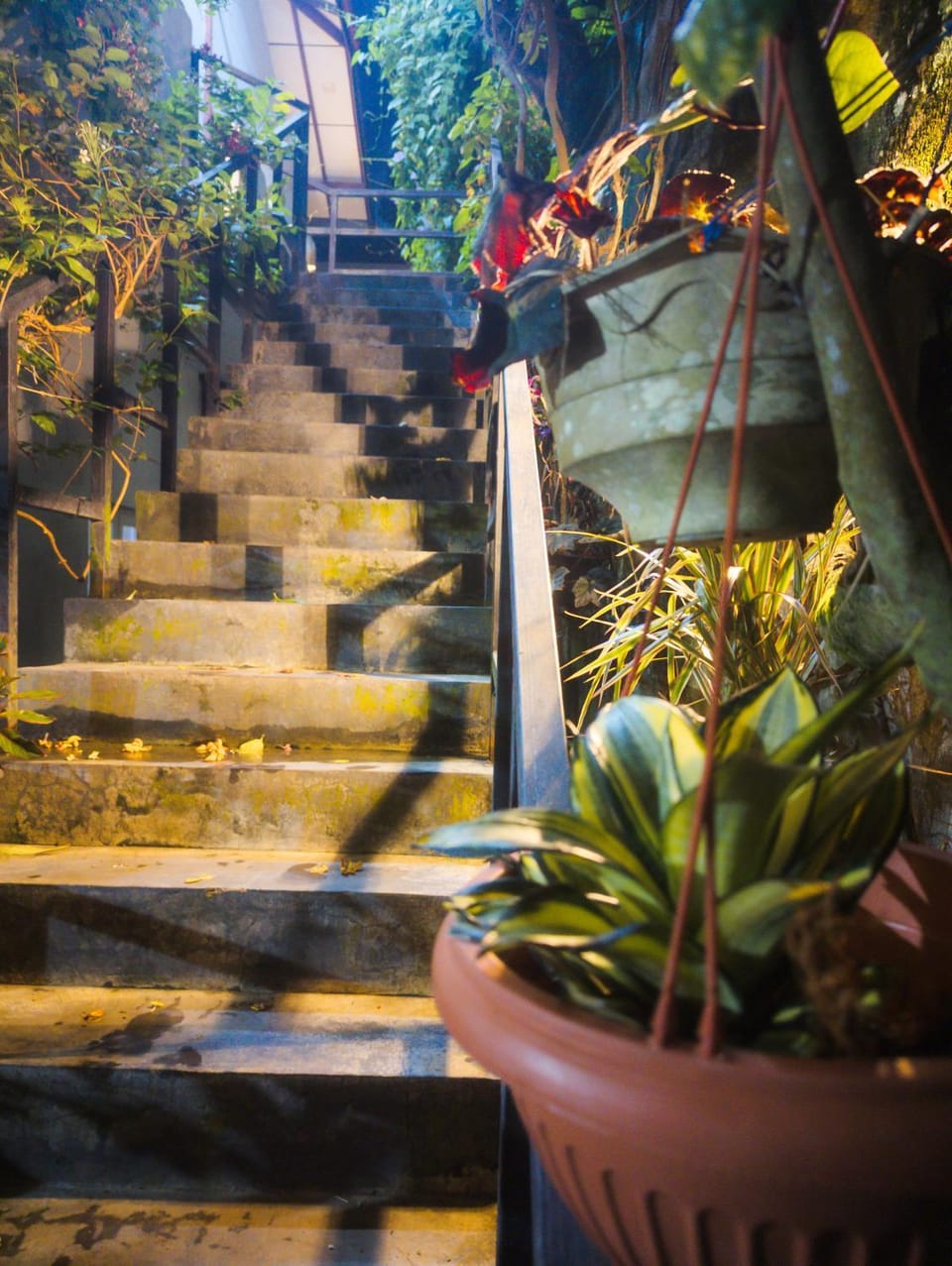 Garden, Garden view