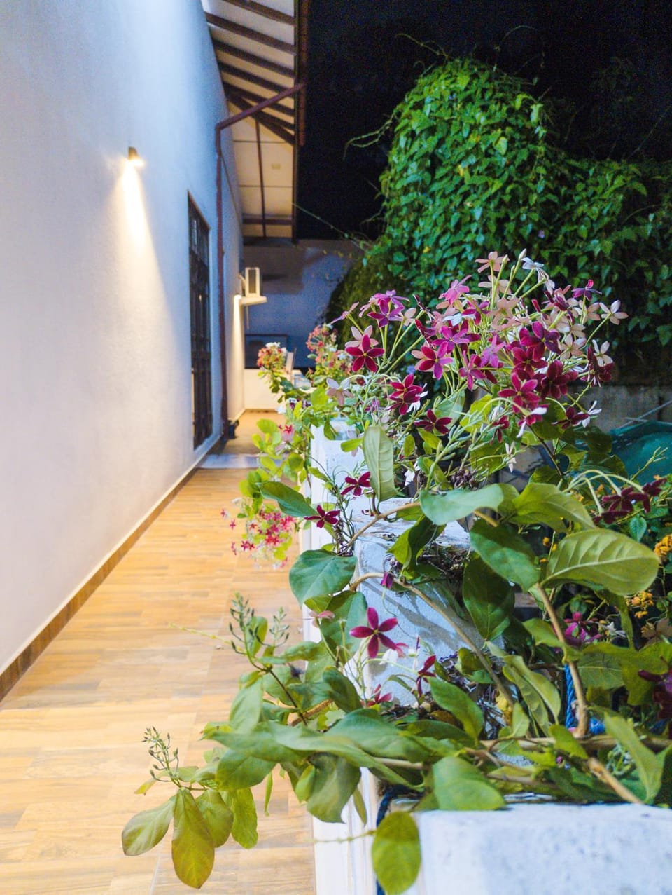 Garden, Balcony/Terrace, Garden view