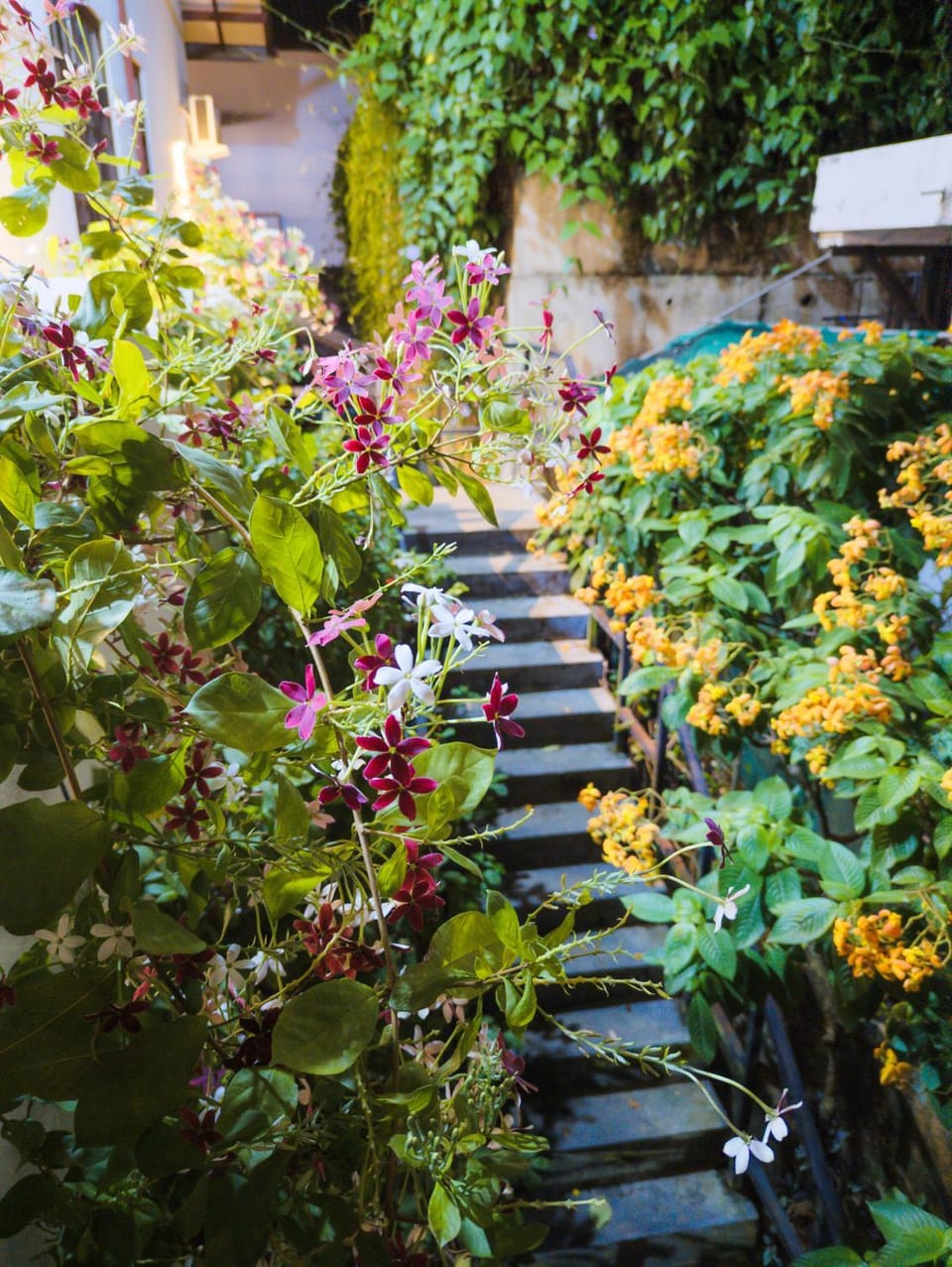 Garden, Balcony/Terrace, Garden view
