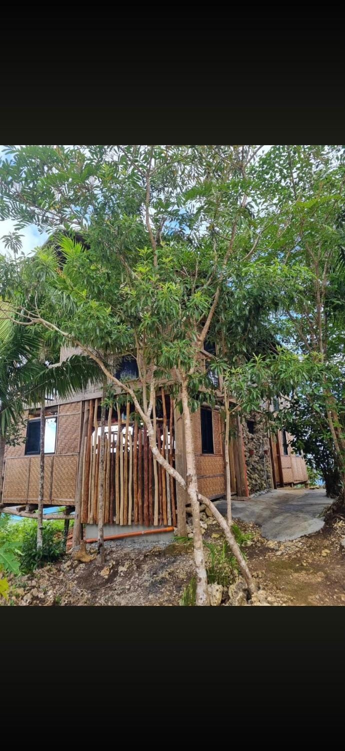 Tramonto Campeggio Eco-Guest House & Camping Site House in Siquijor