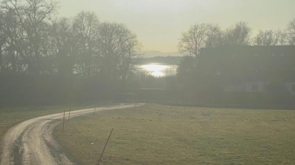 Lake view