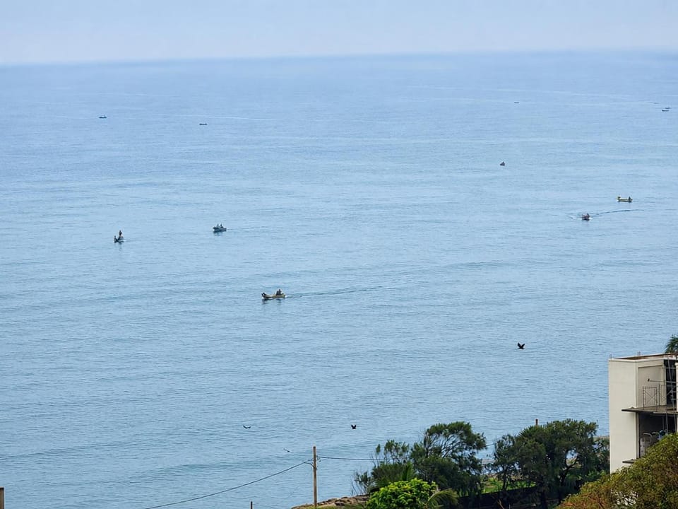 Sea view