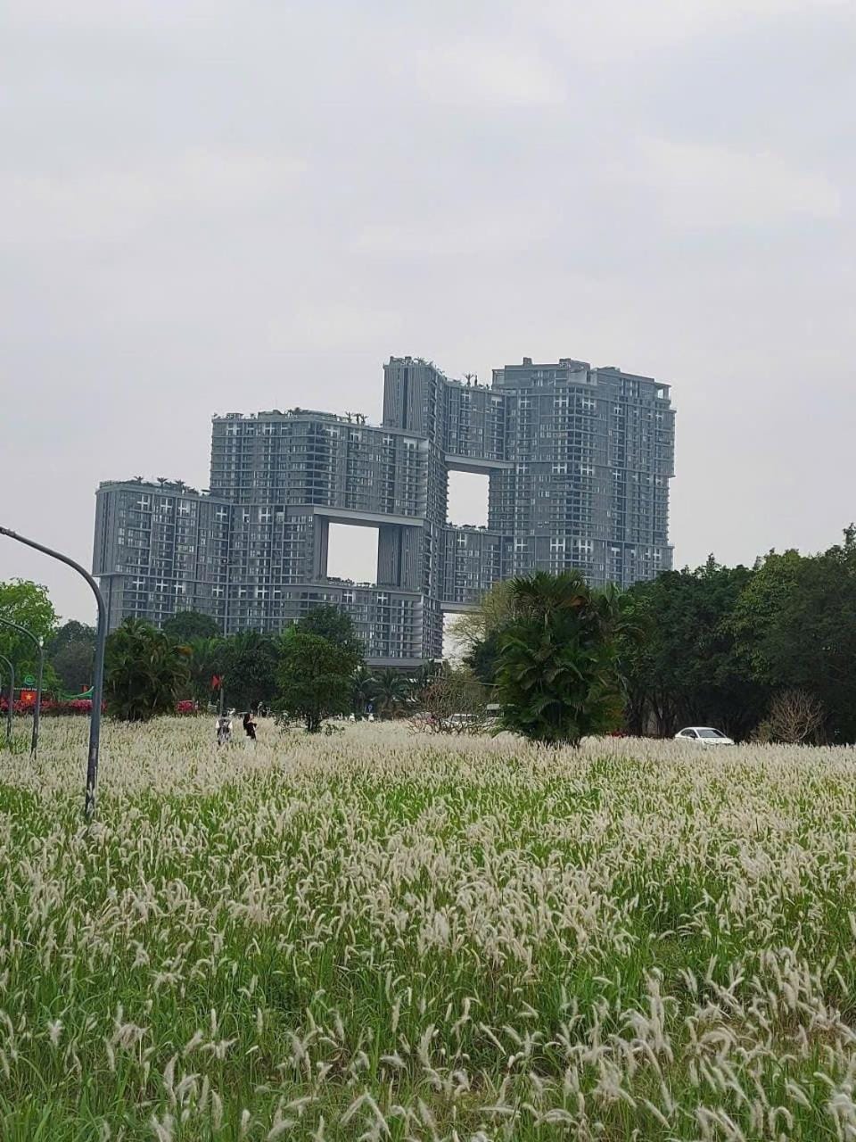 Property building, Natural landscape