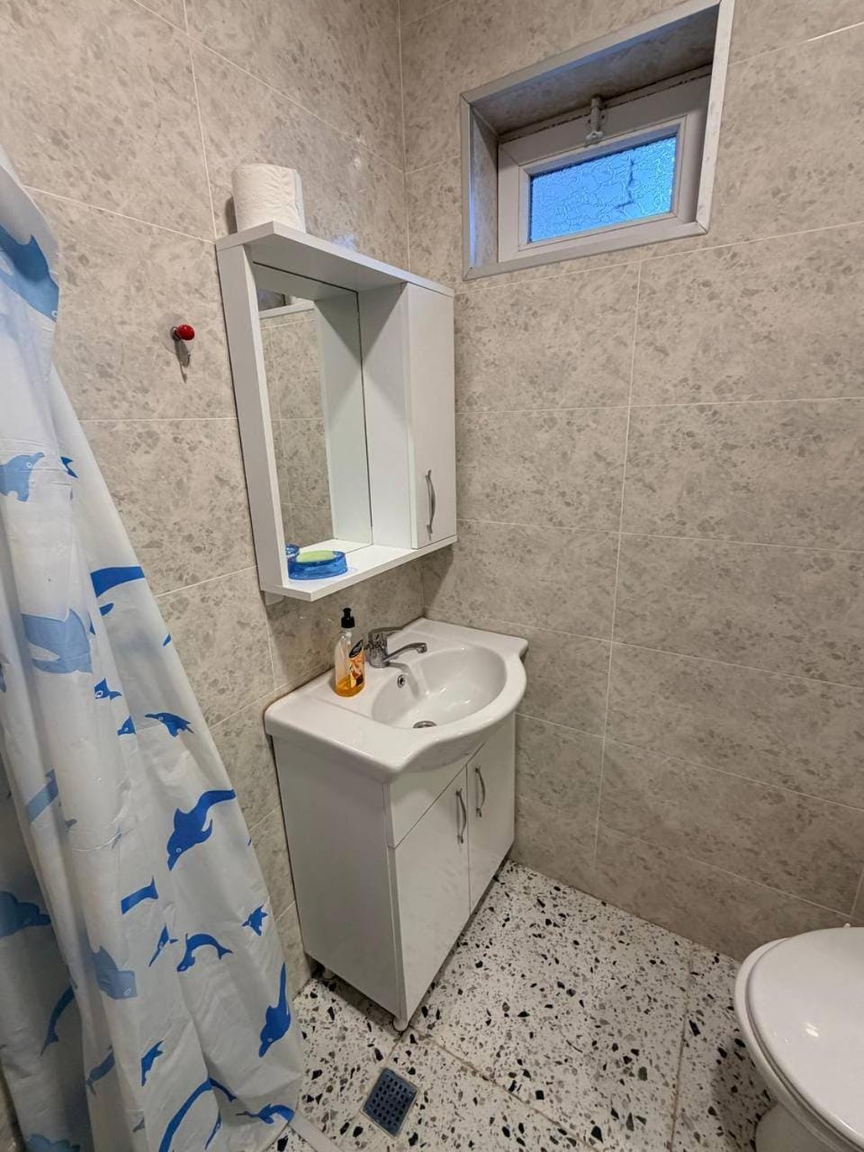 Green Home Apartment in Adjara, Georgia