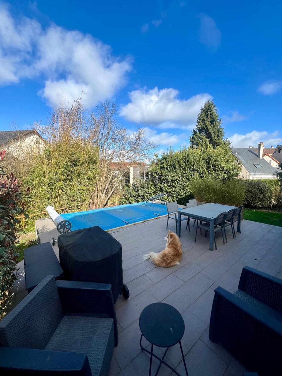 Pool view, Swimming pool