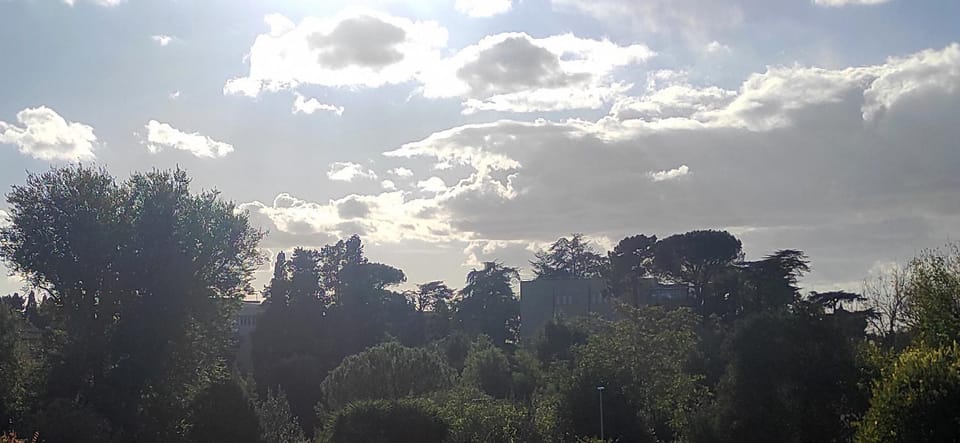 View (from property/room)