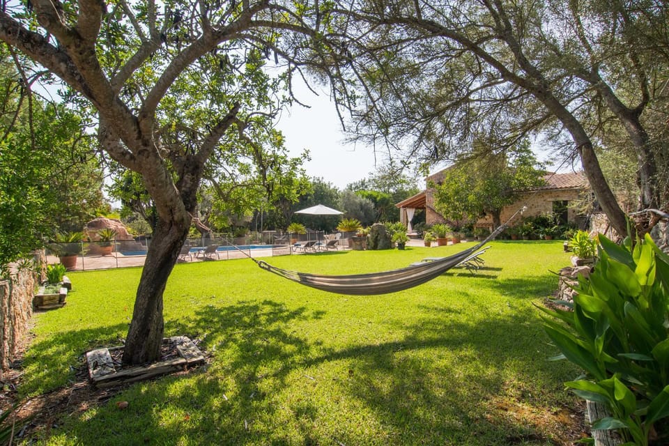 Patio, Garden, Garden view