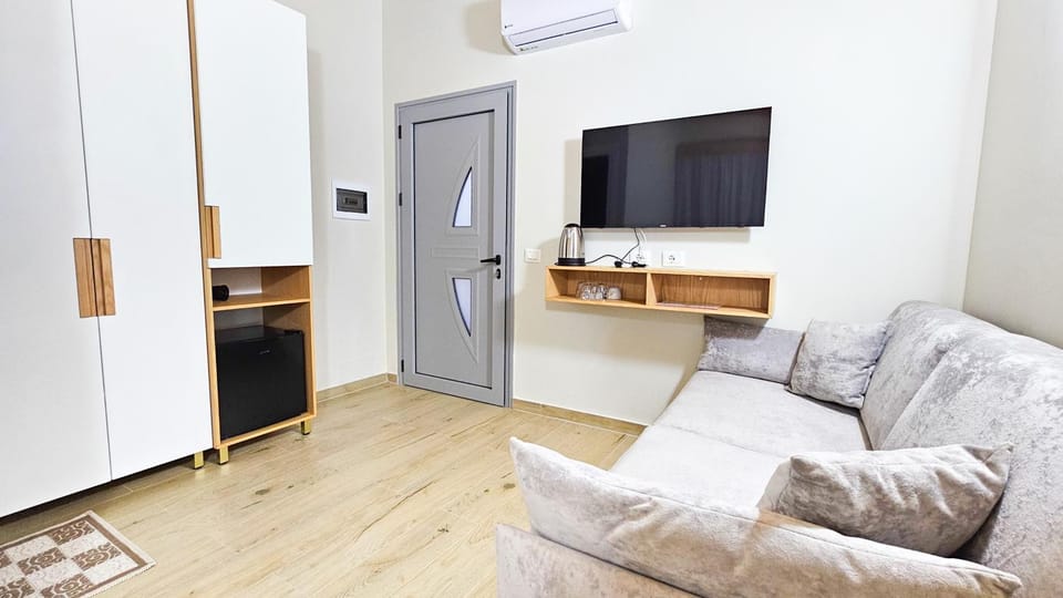TV and multimedia, Living room, wardrobe, air conditioner