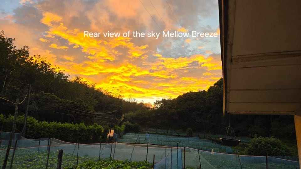 Sunrise
