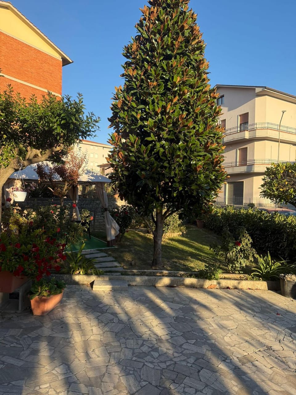 Property building, Garden, Garden view