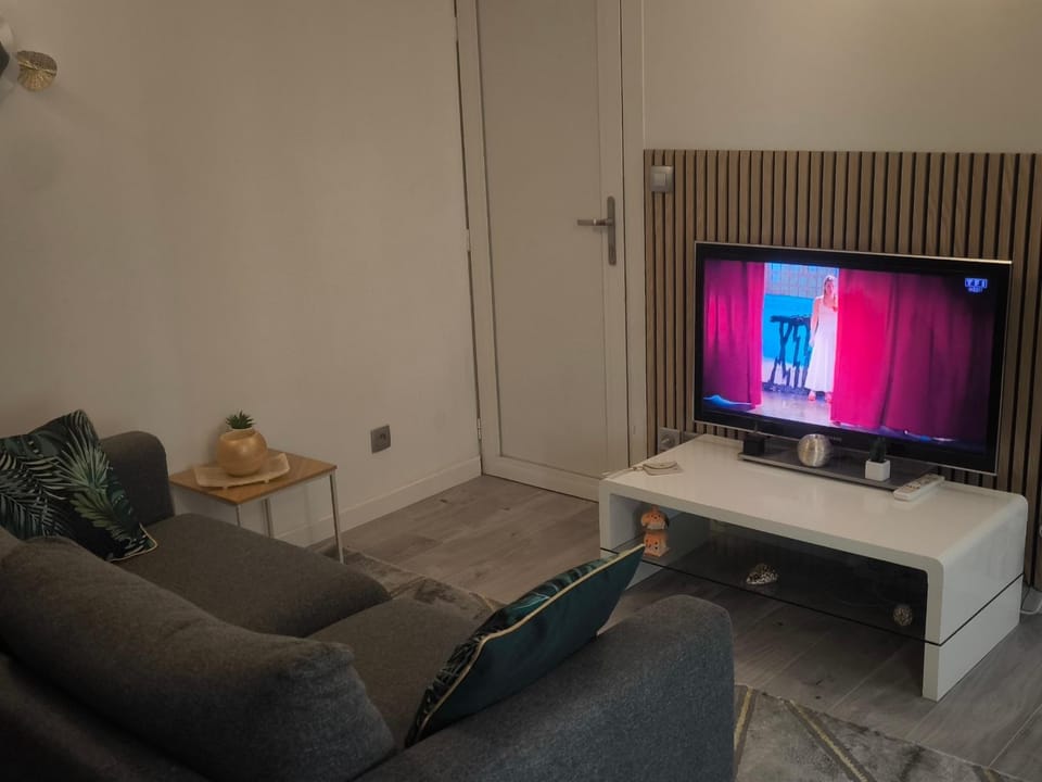 TV and multimedia