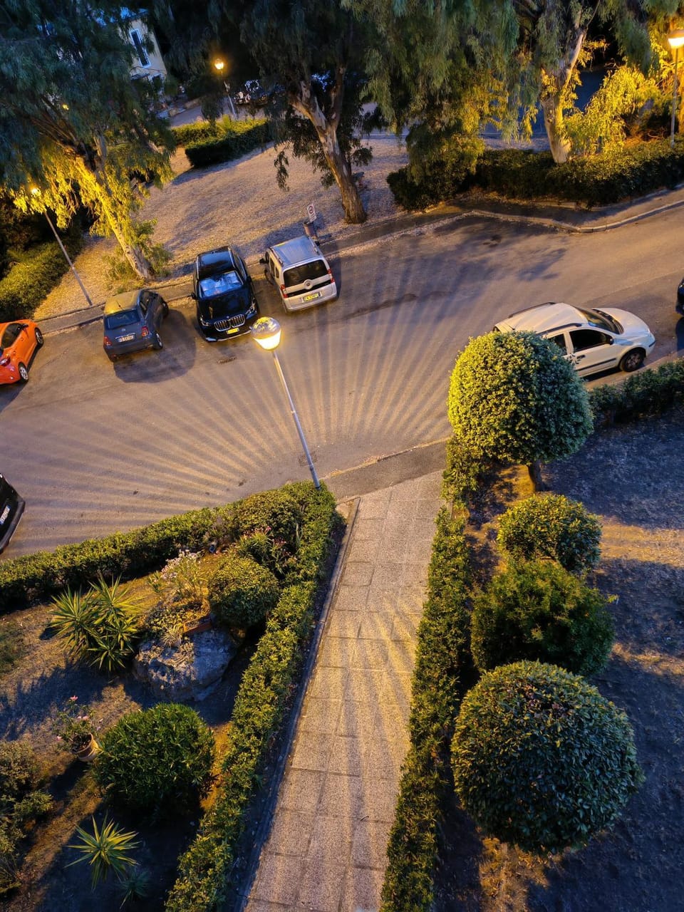 Garden view