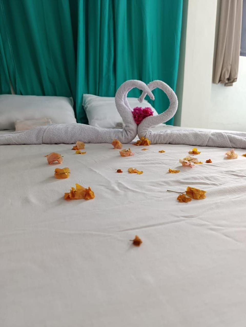 Hospedagem Terral Beach Canoa Quebrada Hotel in Canoa Quebrada