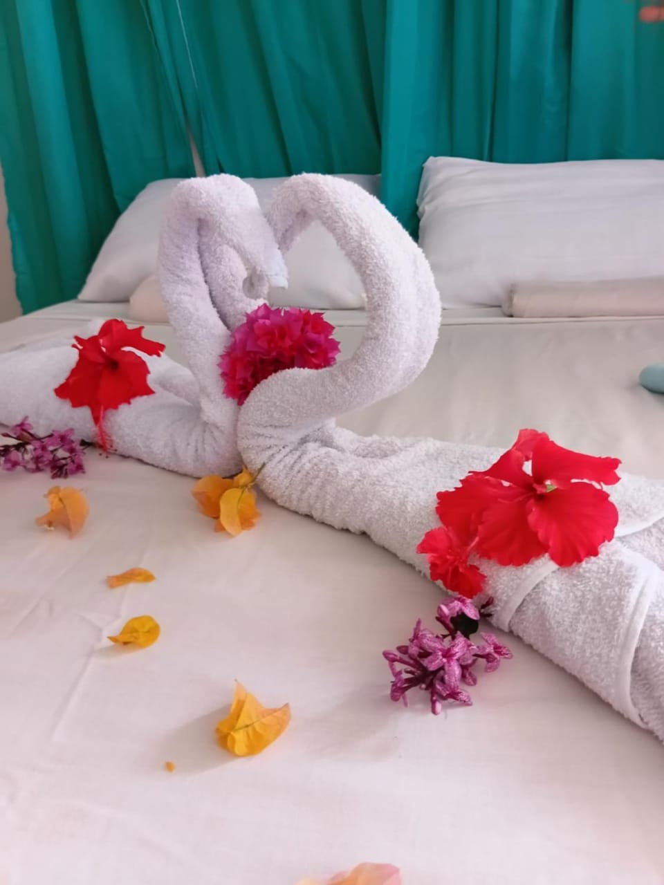 Hospedagem Terral Beach Canoa Quebrada Hotel in Canoa Quebrada