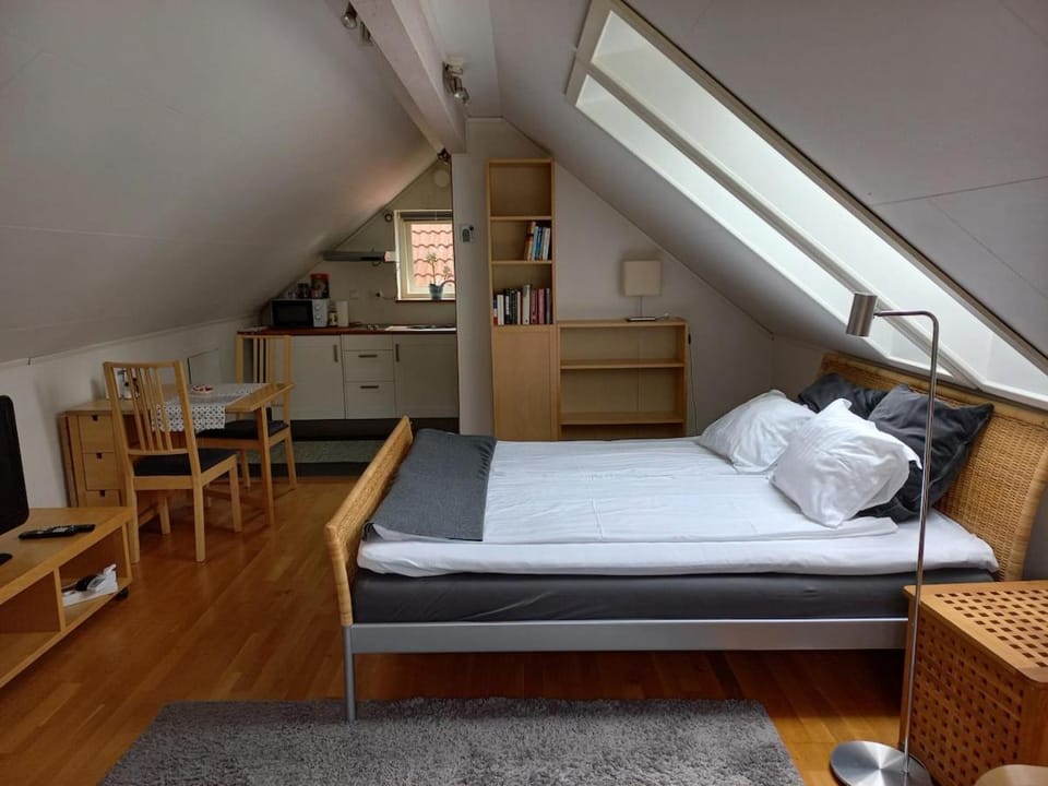 Johitha's place Apartment in Gothenburg