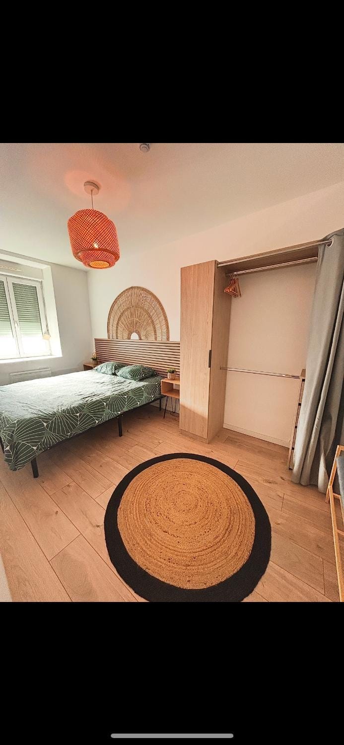 T2 proche centre, parc expo, Netflix Apartment in Mulhouse