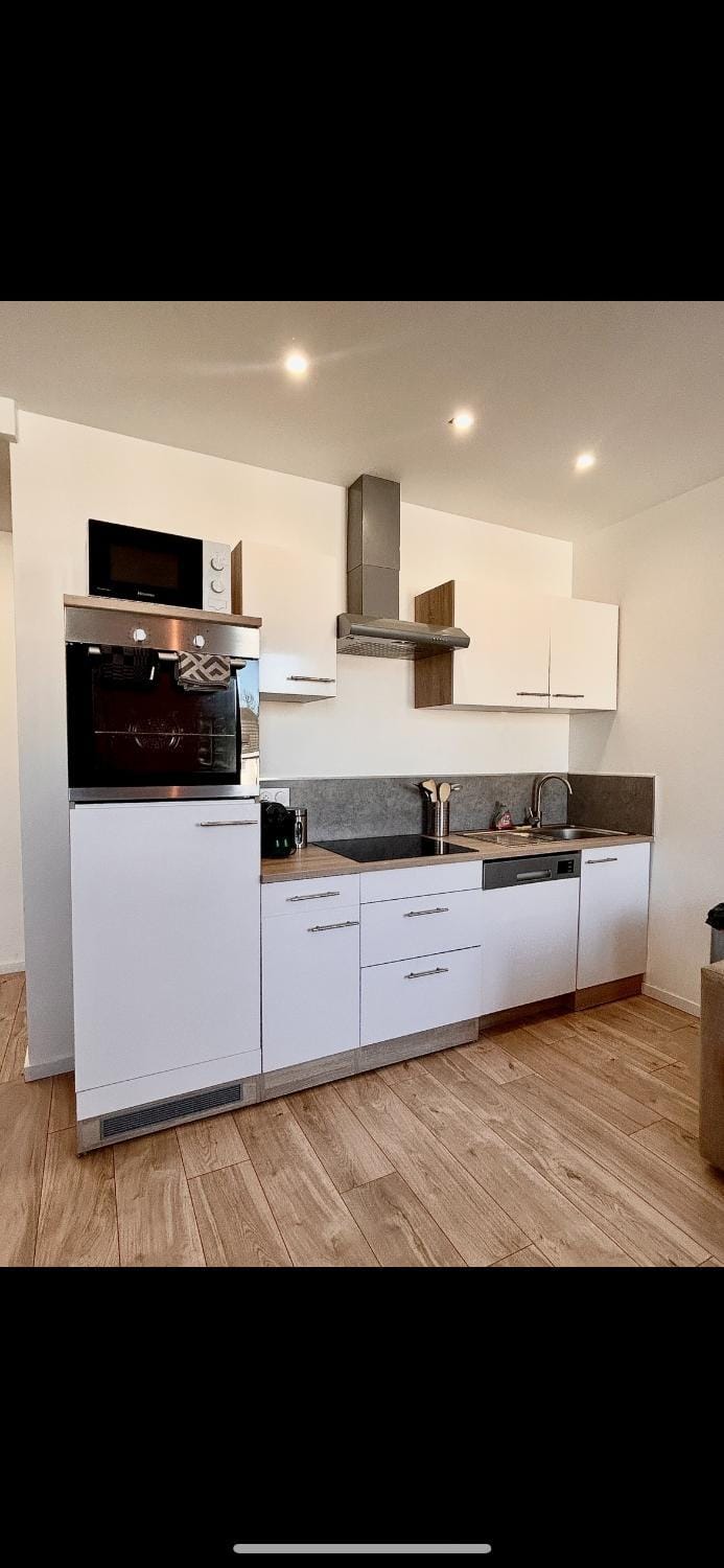 T2 proche centre, parc expo, Netflix Apartment in Mulhouse