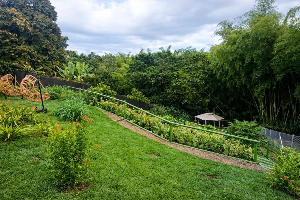 Spring, Day, Natural landscape, Garden, Garden view