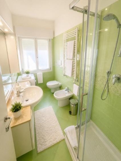 Shower, Toilet, Bathroom, bidet, washing machine