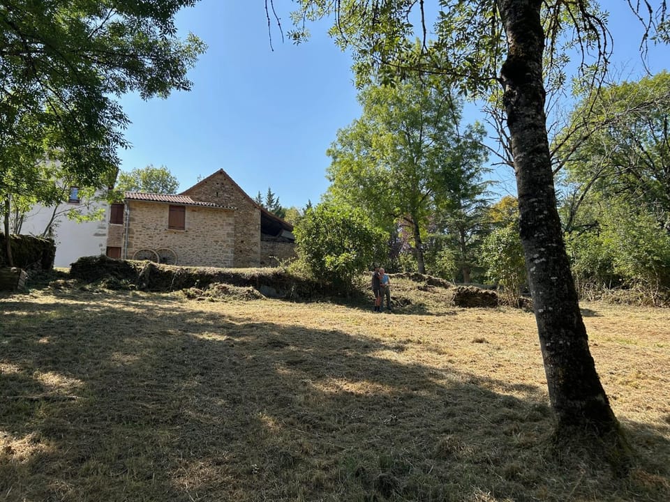 Natural landscape, Garden