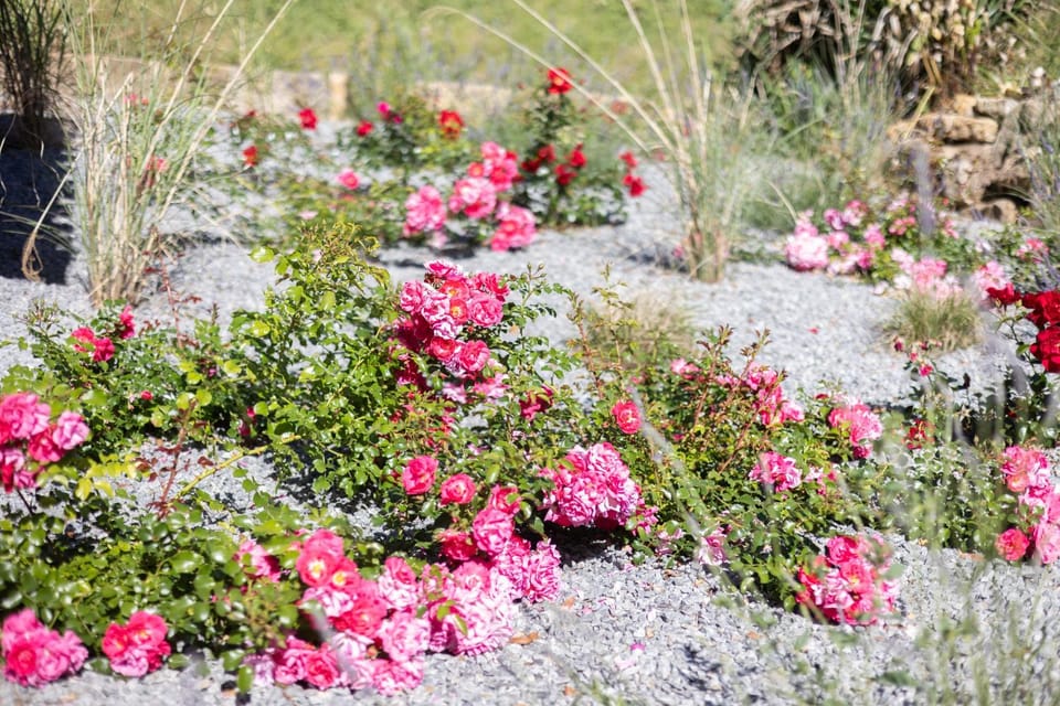 Spring, Garden, Garden view