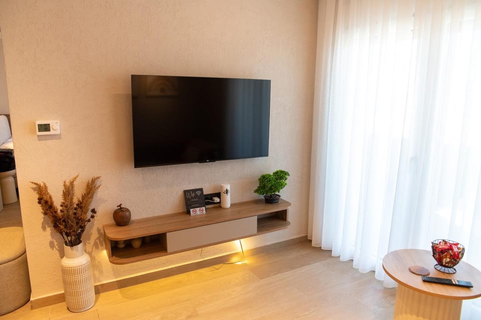 TV and multimedia