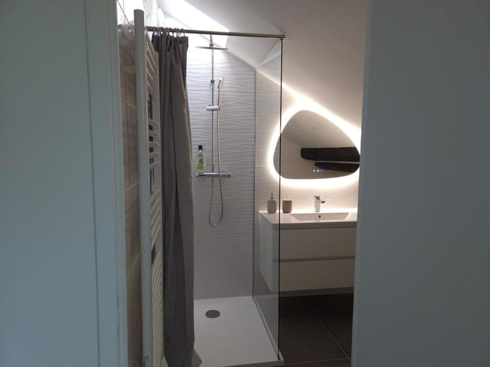 Le Perchoir Charm and light Apartment in Pau