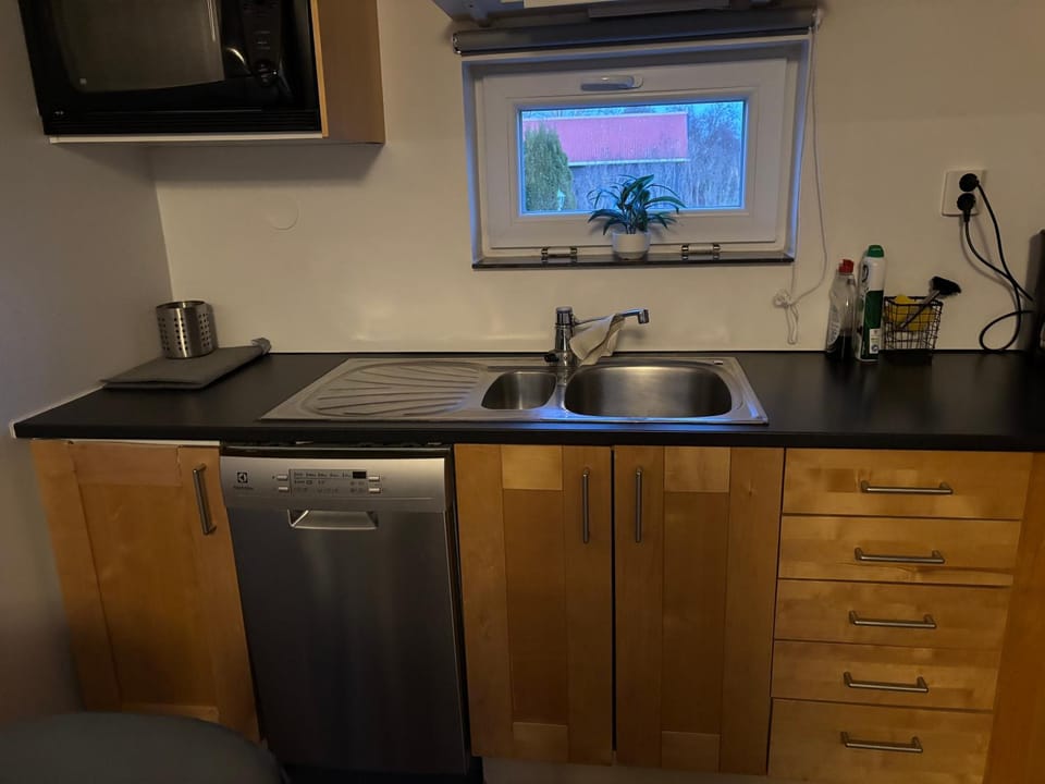 Kitchen or kitchenette, dishwasher