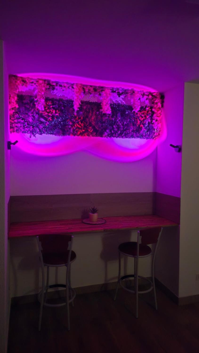 Dining area, kitchen