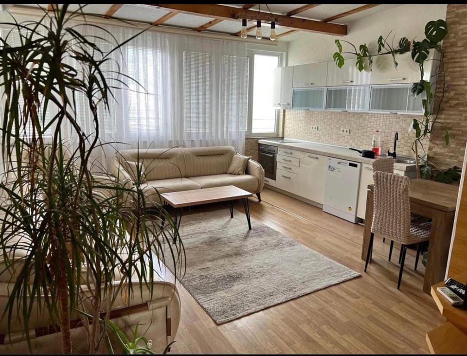 Apartment ne qender te Pejes Apartment in Europe