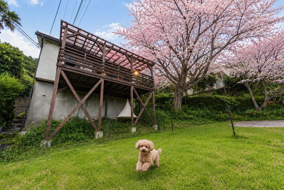 Garden view, pet friendly