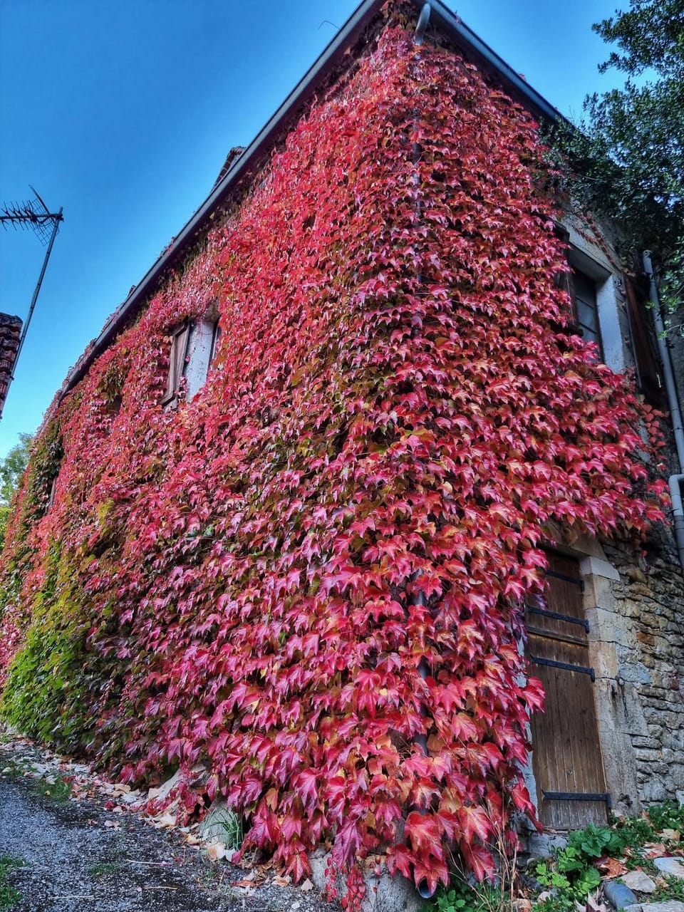 Pascaline Cottage House in Occitanie