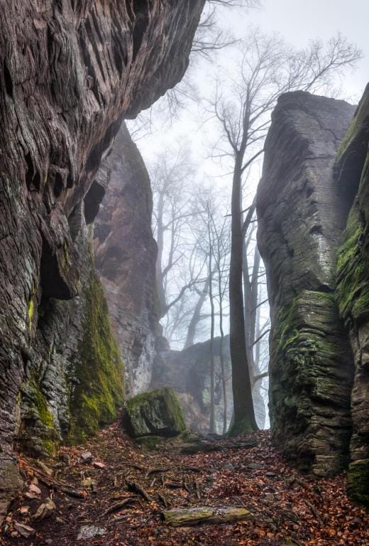 Natural landscape