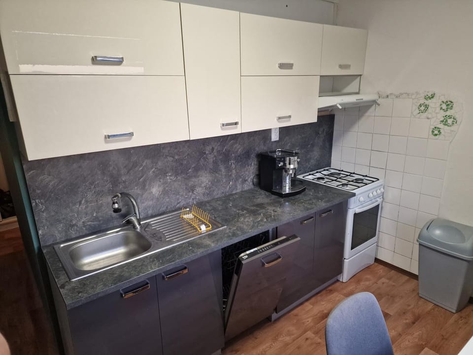 Kitchen or kitchenette, oven