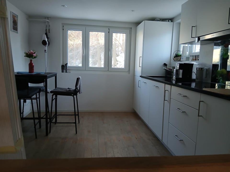 Kitchen or kitchenette, Dining area, oven, stove