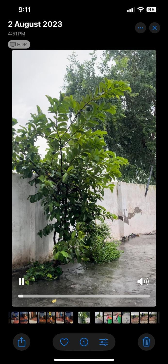 Padda Farm house Farm Stay in Punjab, India