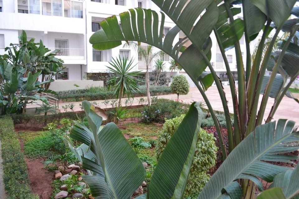 Appartement cosy plein de charme Apartment in Agadir