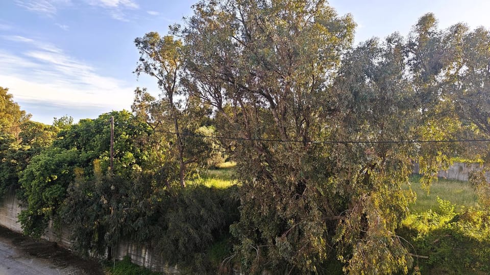 Mountain view, Location