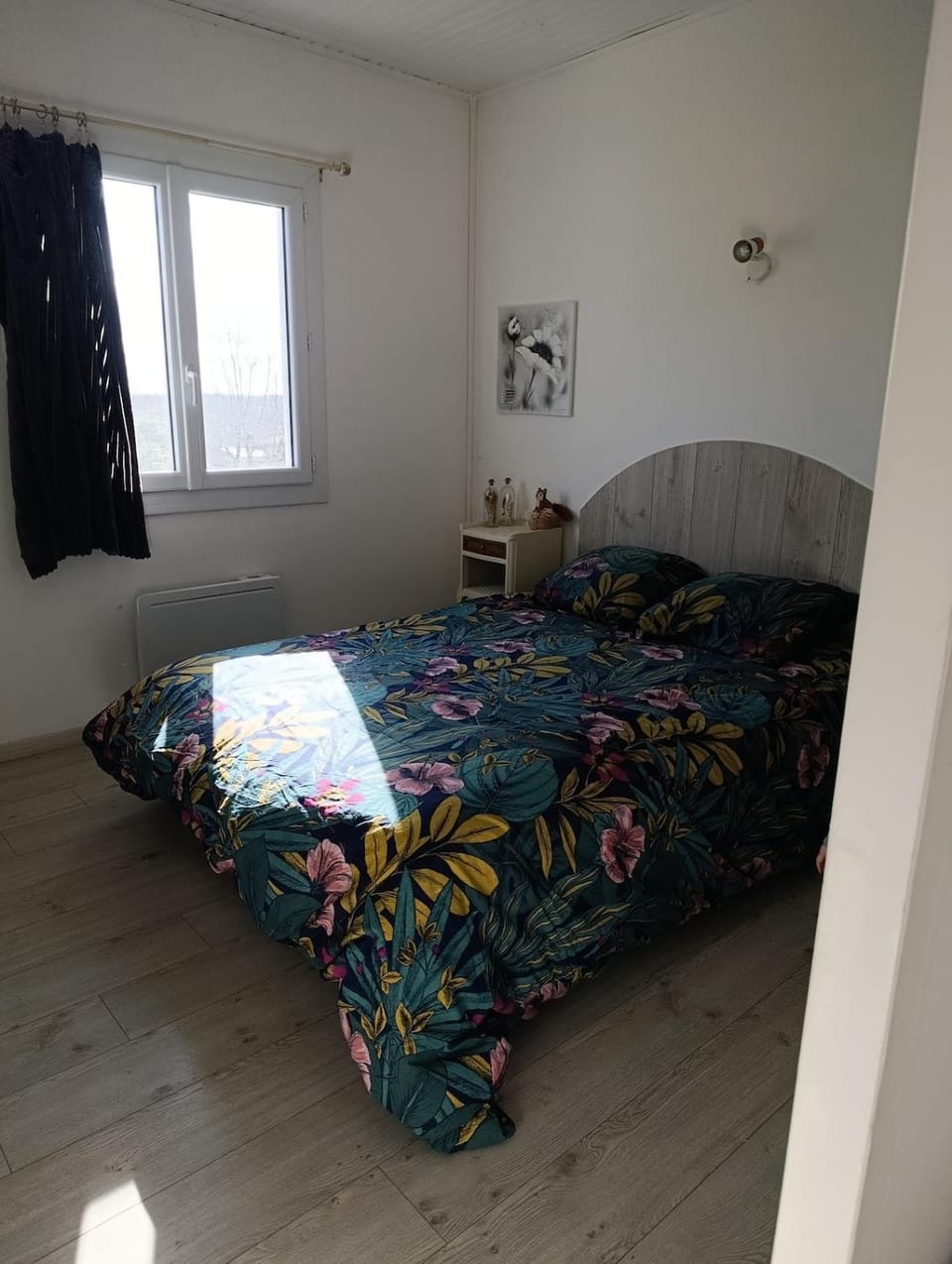 Bed, Photo of the whole room