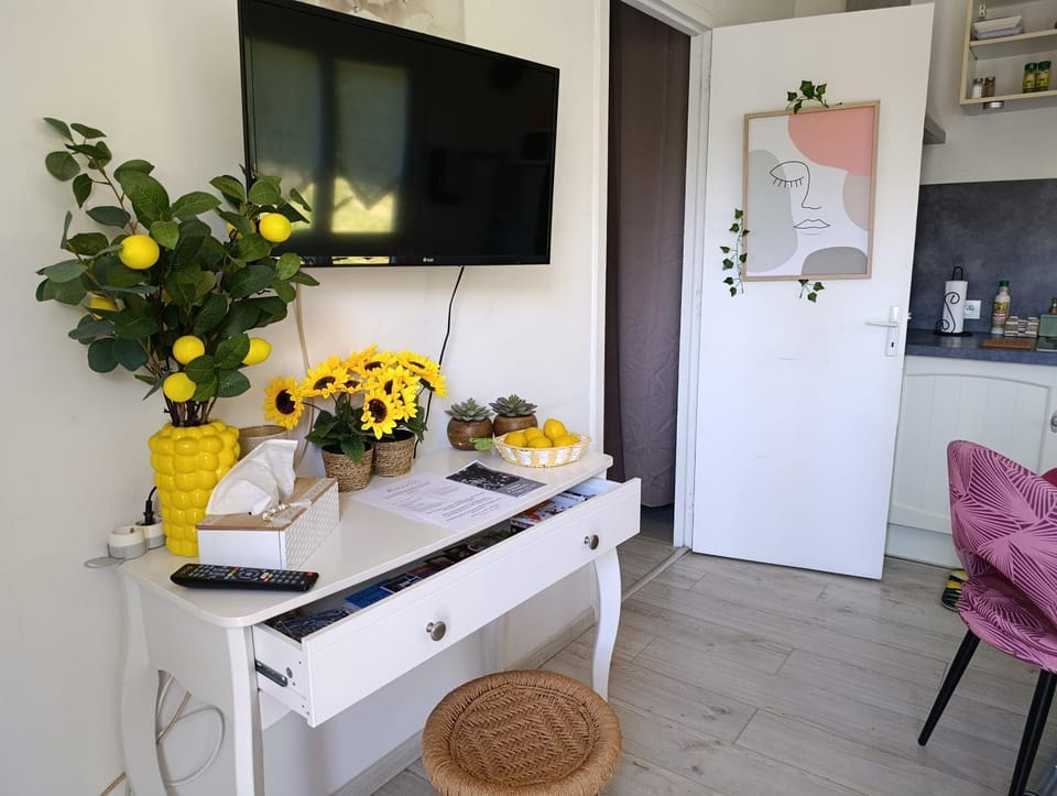 TV and multimedia