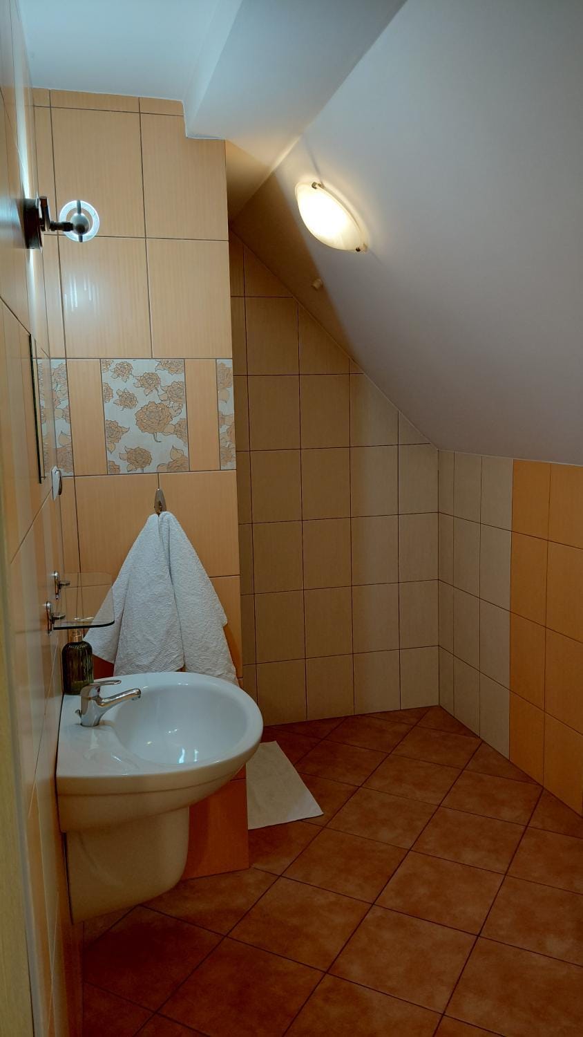 Toilet, Bathroom, Bath