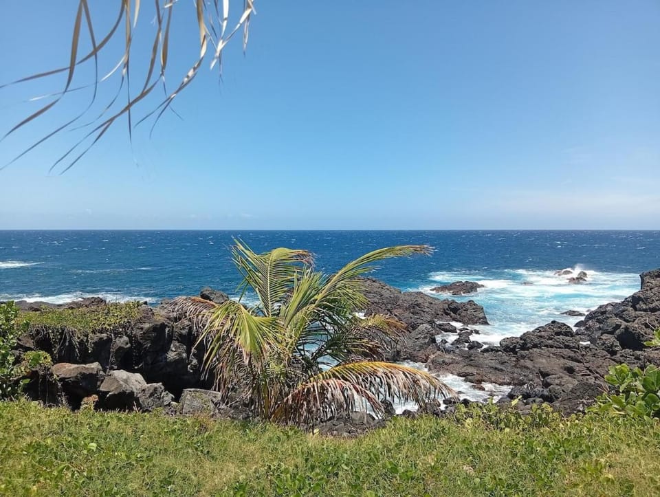 Nearby landmark, Natural landscape, Garden, Beach, Sea view