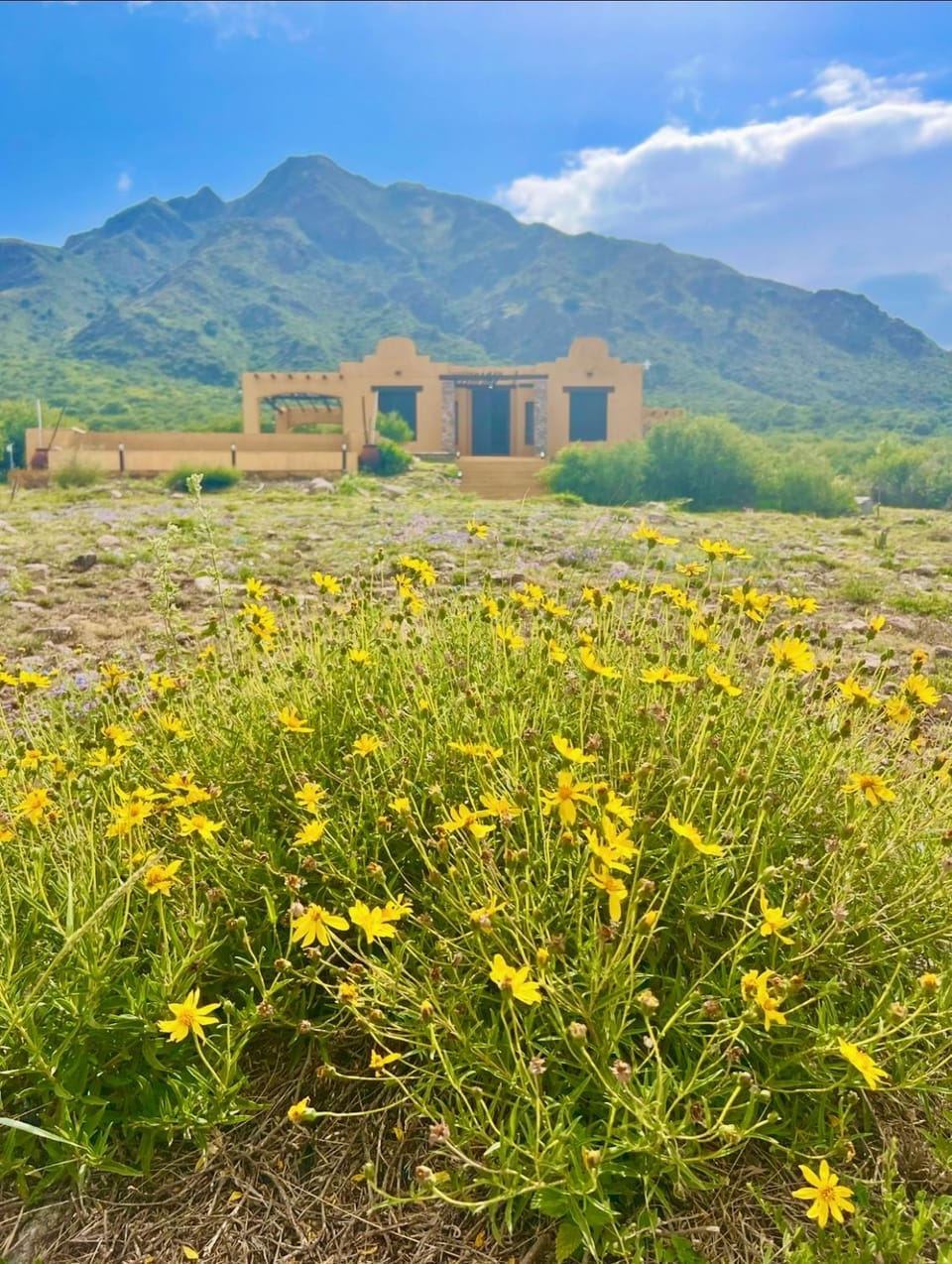 Property building, Natural landscape