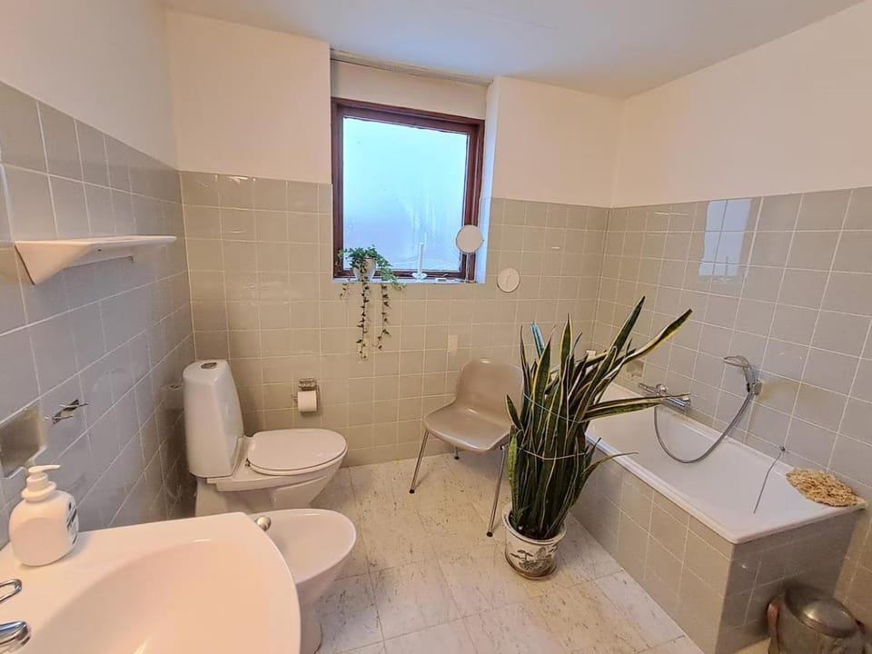Toilet, Bathroom, bidet