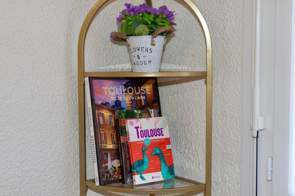 La Toulousaine - Terrasse - Parking - Hyper Centre Apartment in Toulouse