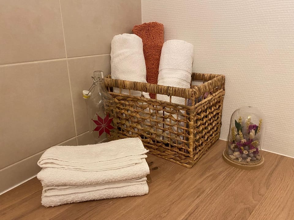 La Toulousaine - Terrasse - Parking - Hyper Centre Apartment in Toulouse
